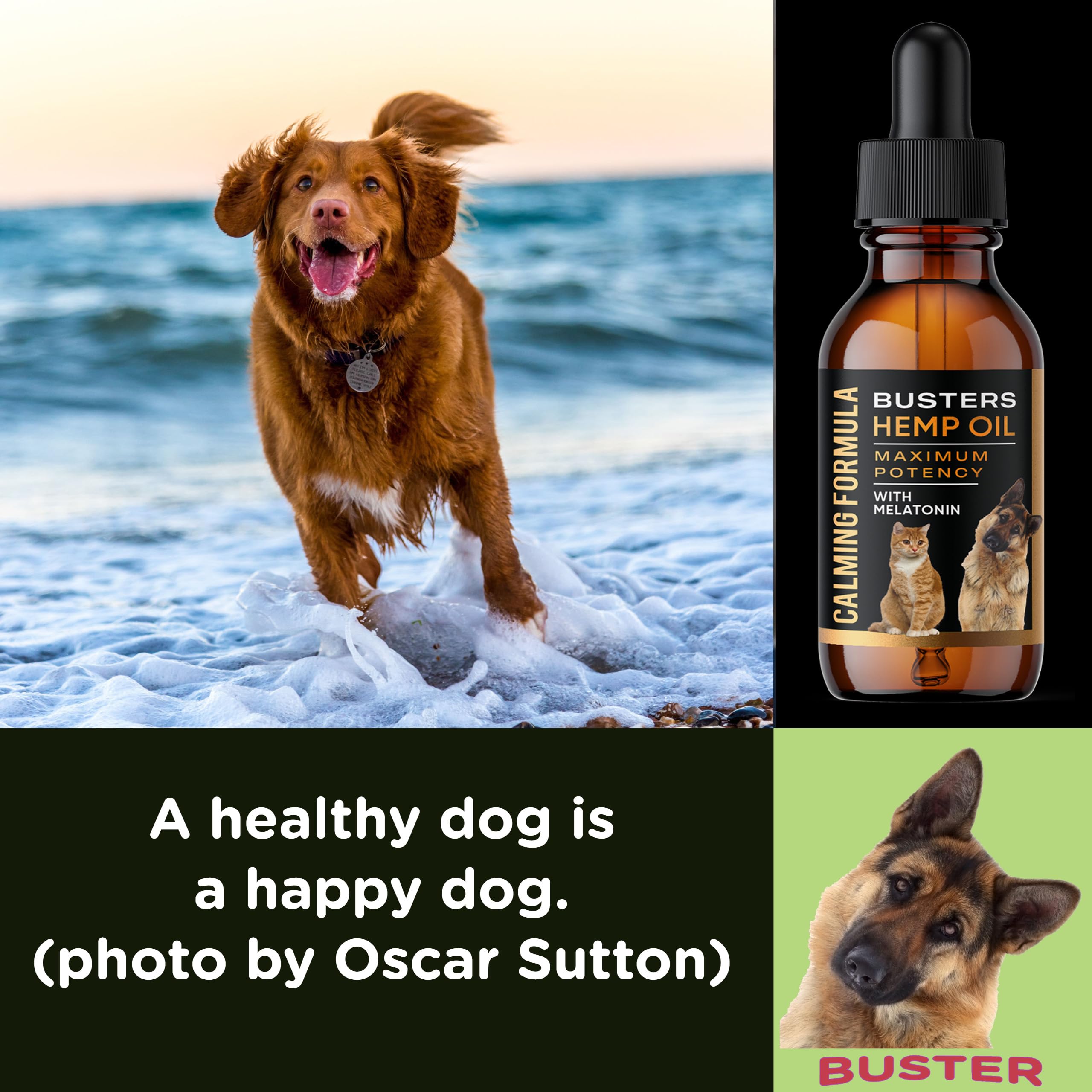 K2xLabs Busters pour animaux-sourire, soutien au bien‑être quotidien.