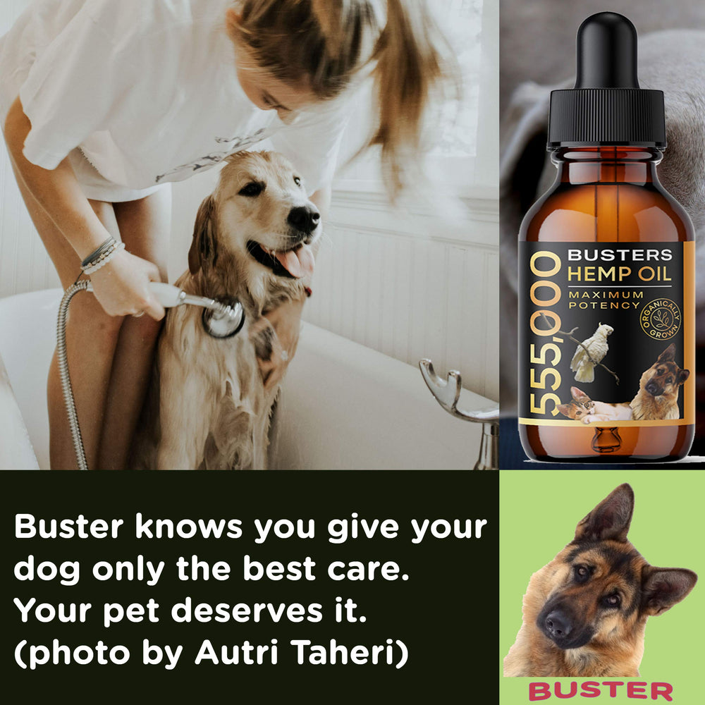 K2xLabs Busters gouttes apaisantes pour animaux – relaxation après activité