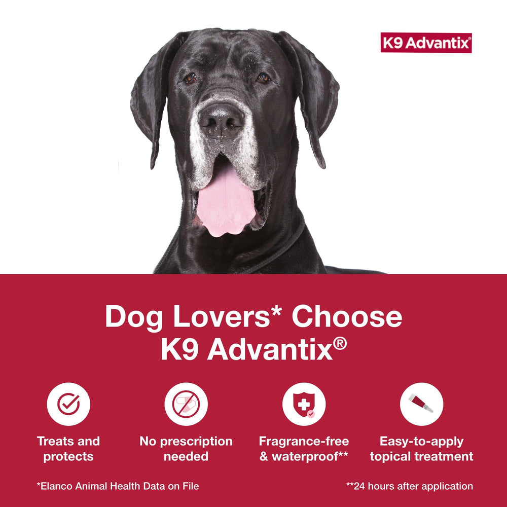 K9 Advantix Extra Large : après application, séchage rapide et praticité au quotidien.