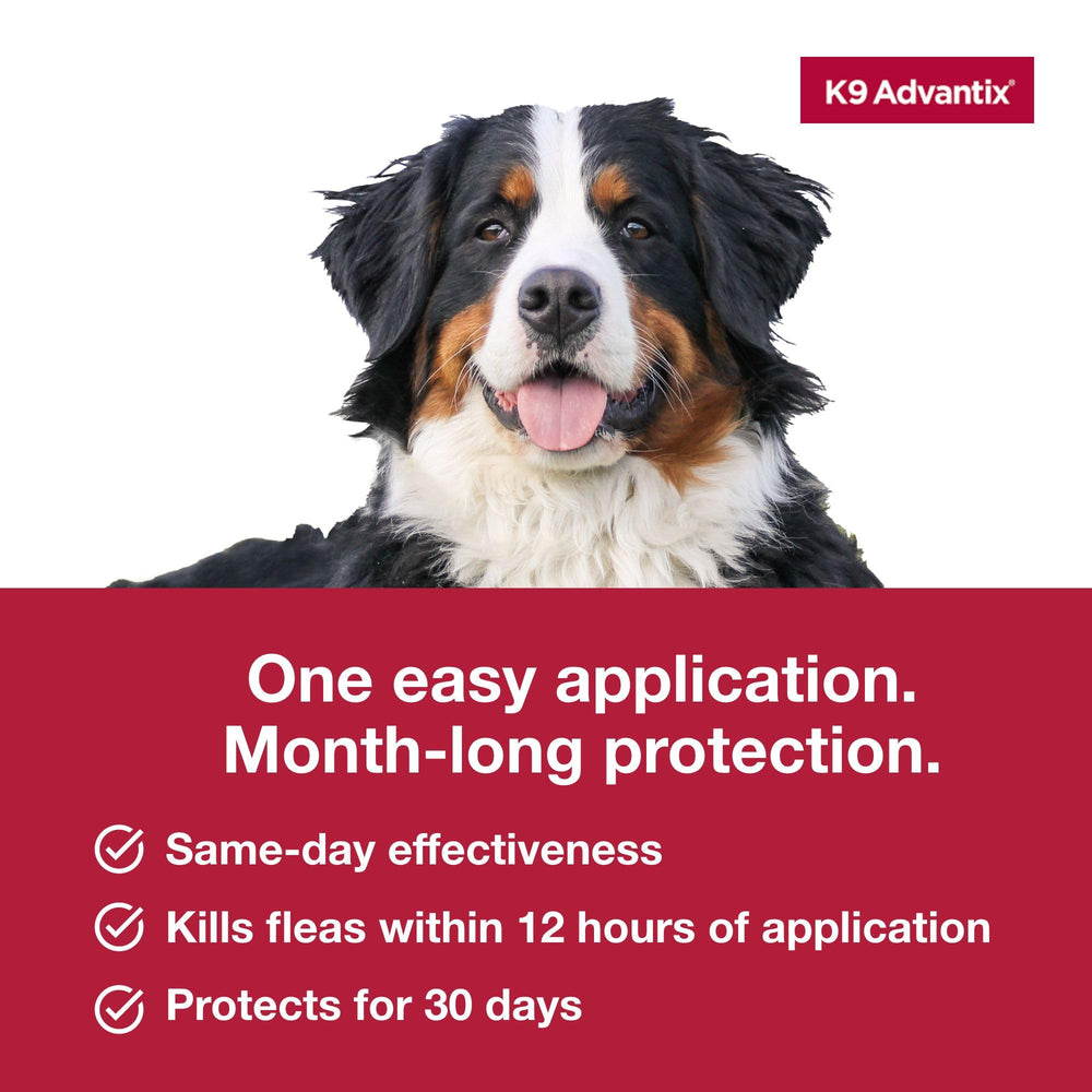K9 Advantix Extra Large : formule résistante à l'eau après 24 heures.