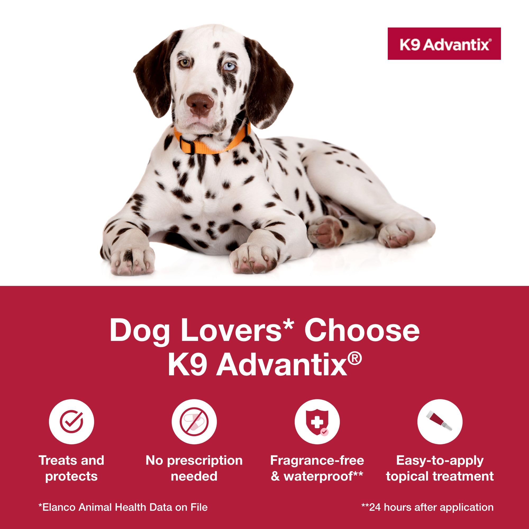 K9 Advantix formule sans parfum, traitement agréable pour chien