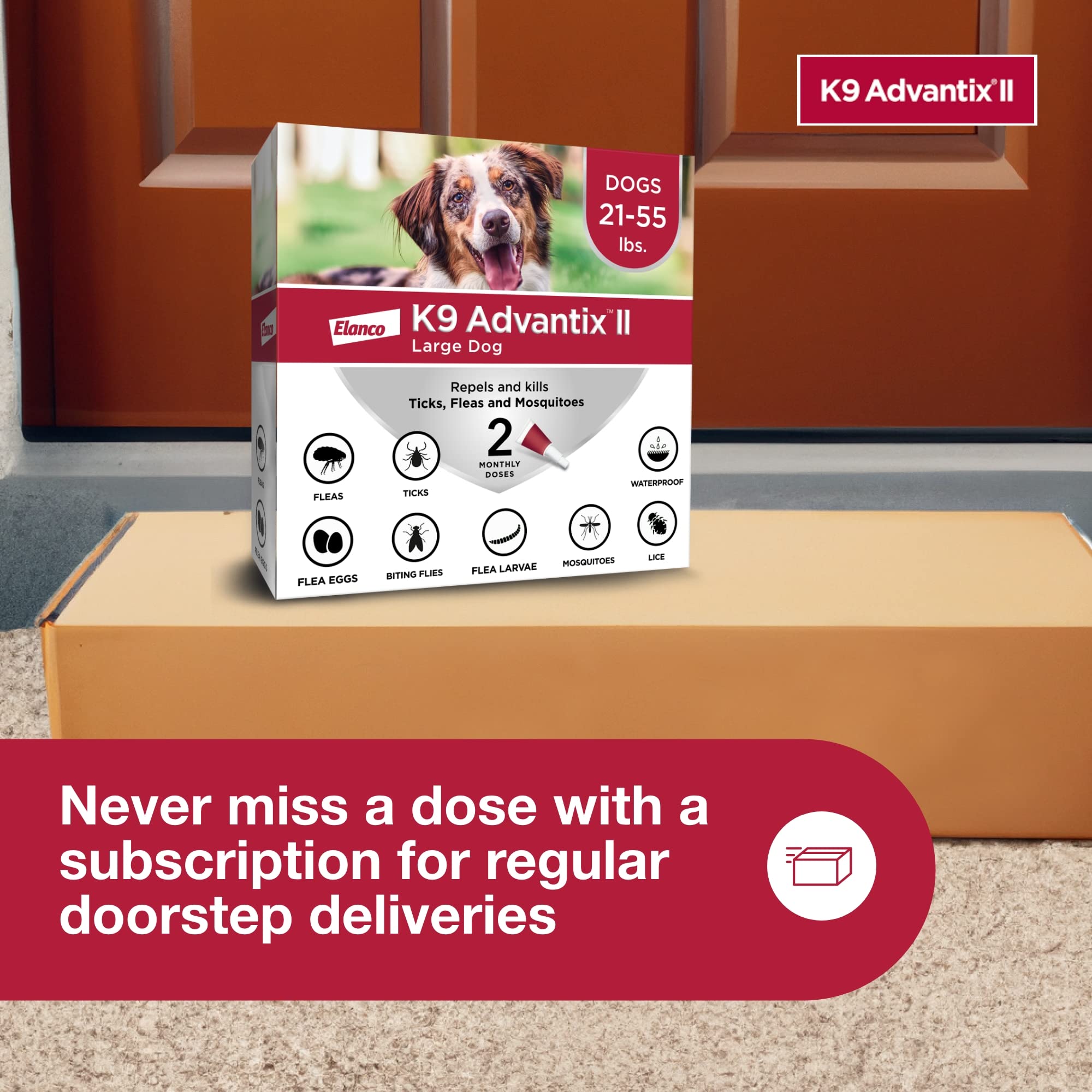 K9 Advantix II Grand Chien — formats disponibles en 2, 4 et 6 doses.