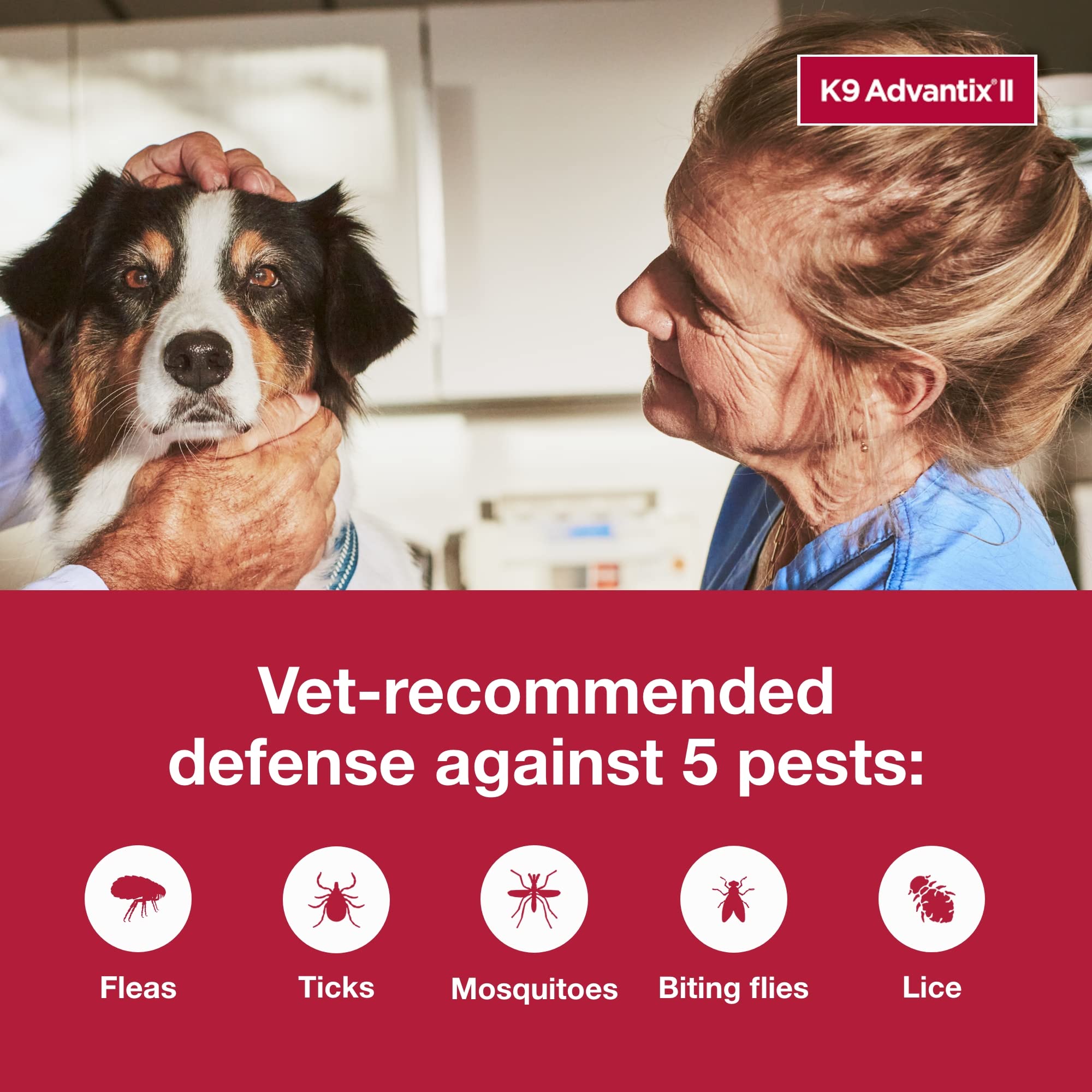 K9 Advantix II Grand Chien — produit imperméable après 24 heures.