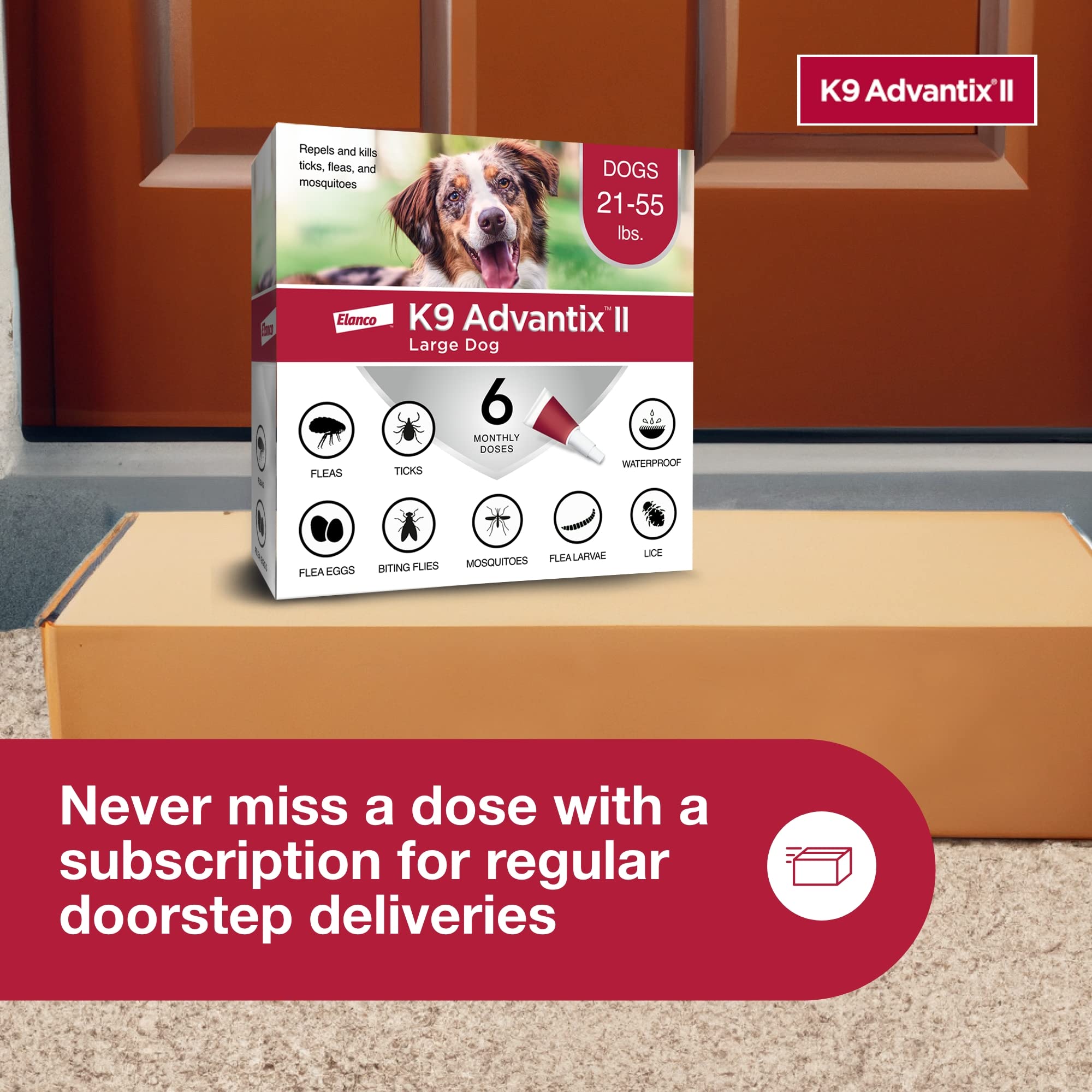 Pack de 6 doses facilitant le calendrier mensuel.