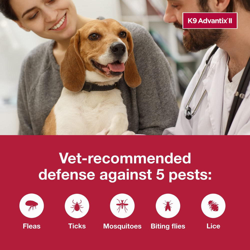 Protection contre puces, tiques et moustiques sur votre compagnon.