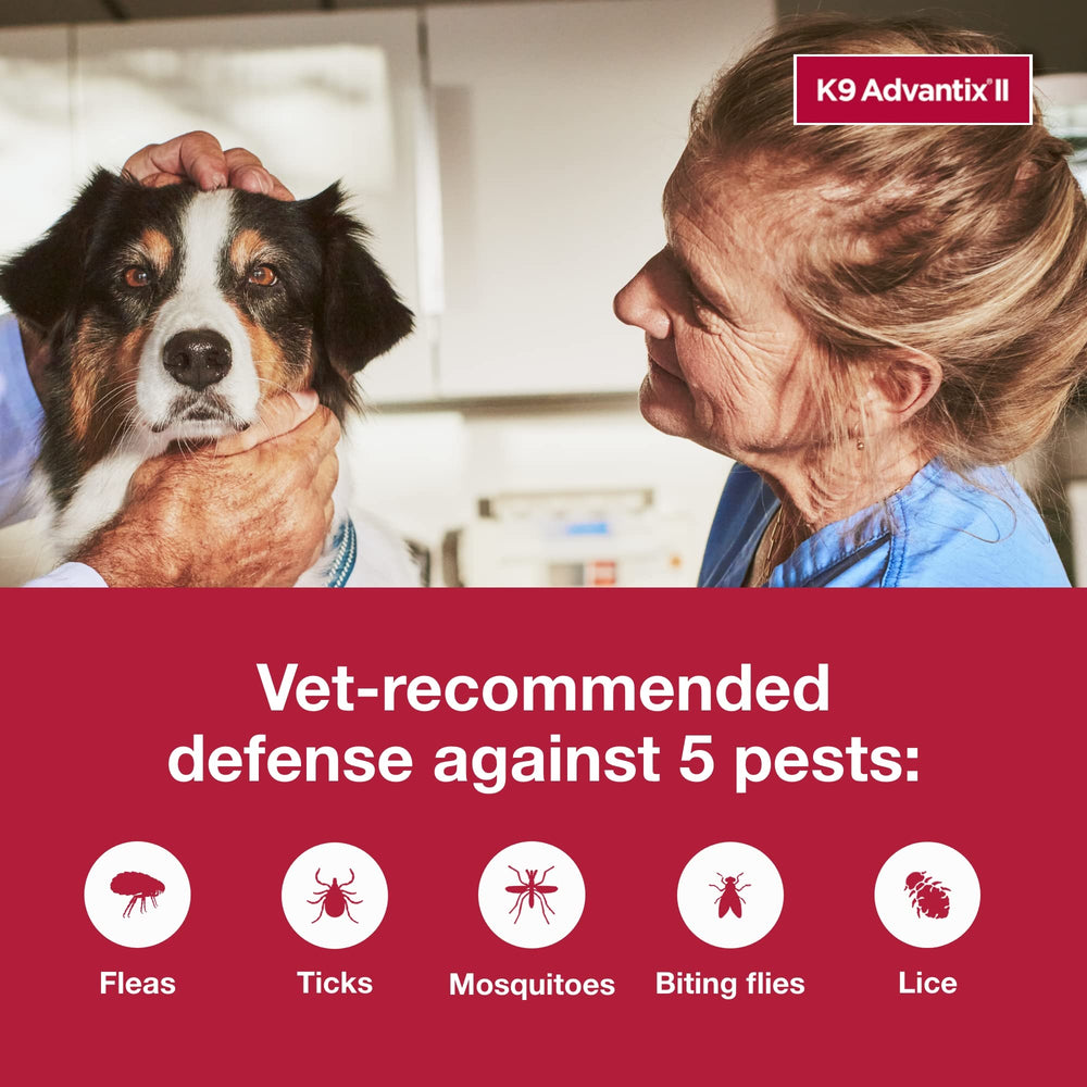 K9 Advantix II tue et repousse au contact.