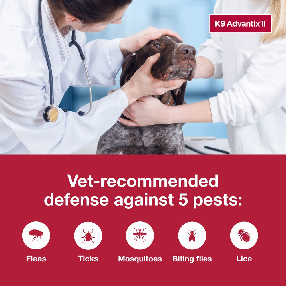 K9 Advantix II XL – moustiques repoussés lors des sorties extérieures.