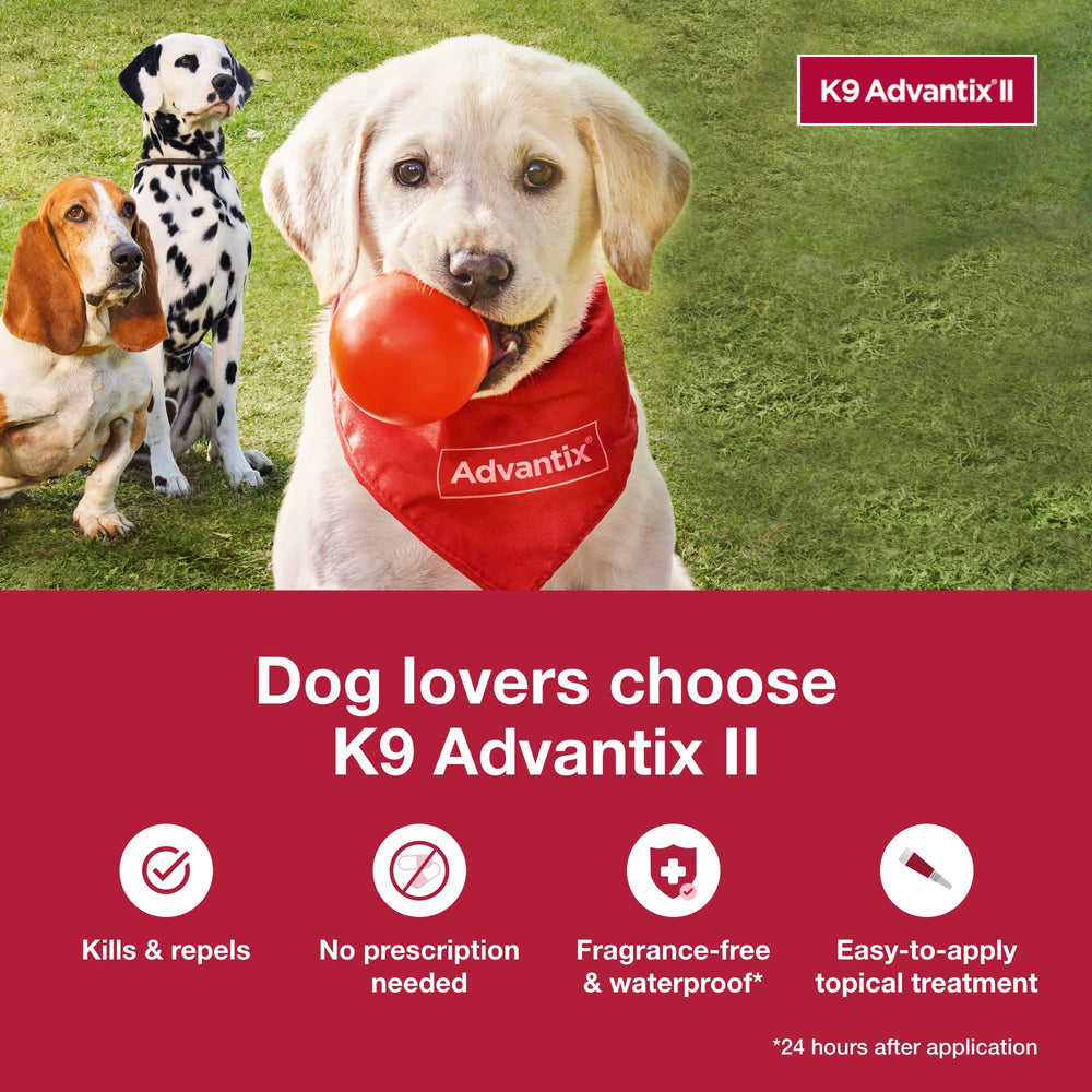 K9 Advantix II XL pour chien >25 kg prêt pour le traitement mensuel.