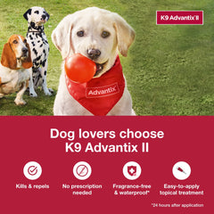 K9 Advantix II XL pour chien >25 kg prêt pour le traitement mensuel.