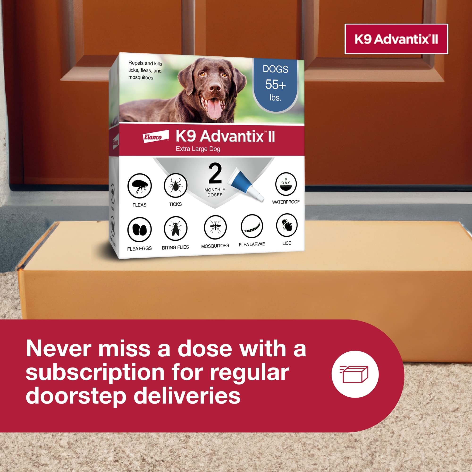 K9 Advantix II XL – sans ordonnance, traitement pratique.