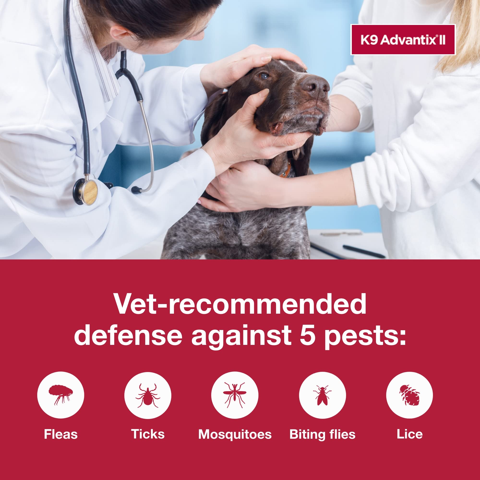 K9 Advantix II XL agit au contact et repousse tiques et moustiques.
