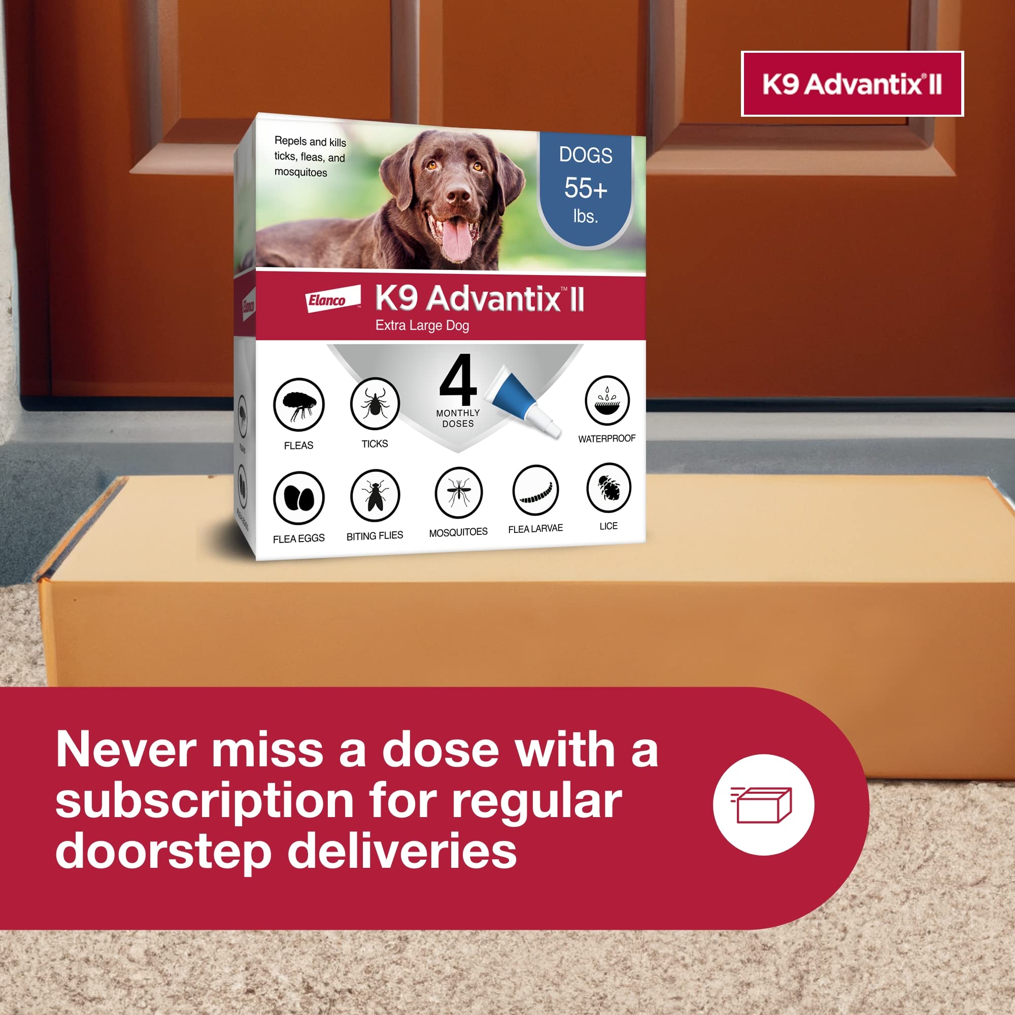 K9 Advantix II XL sans ordonnance, traitement pratique.