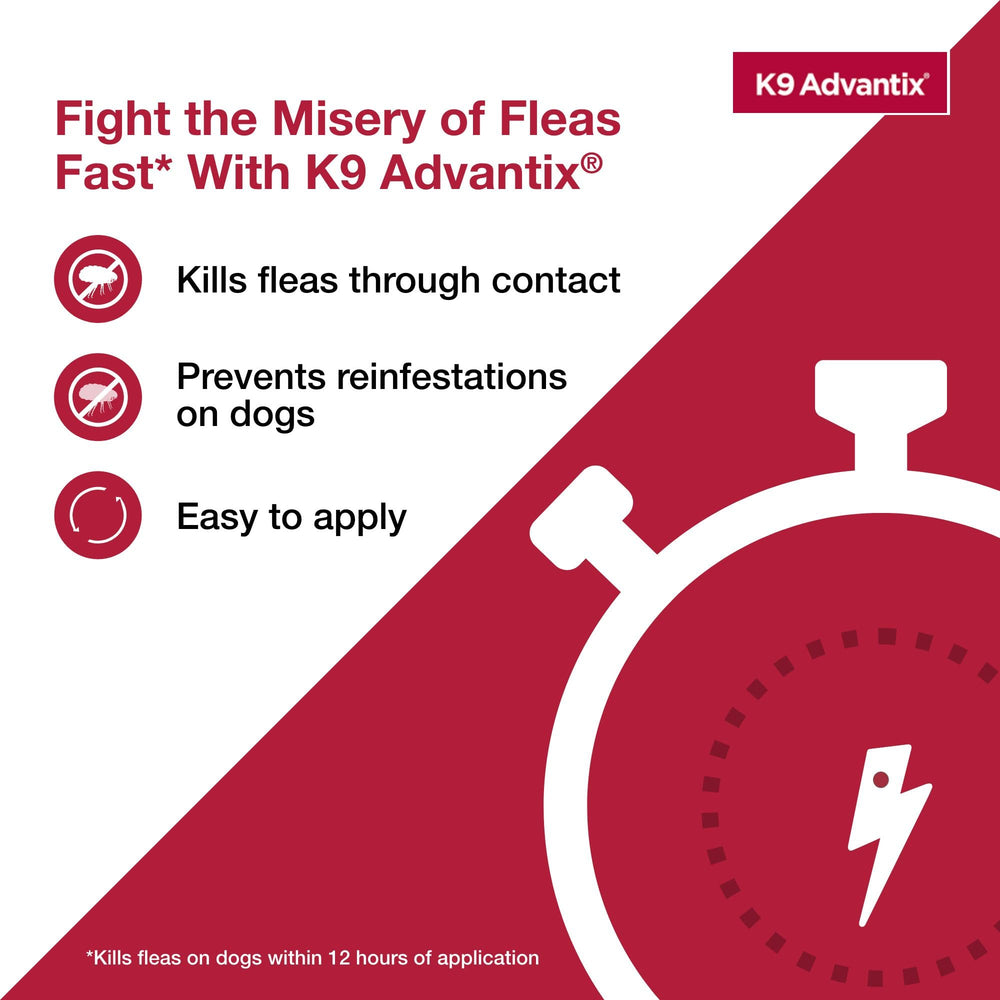 K9 Advantix formule imperméable après 24 heures