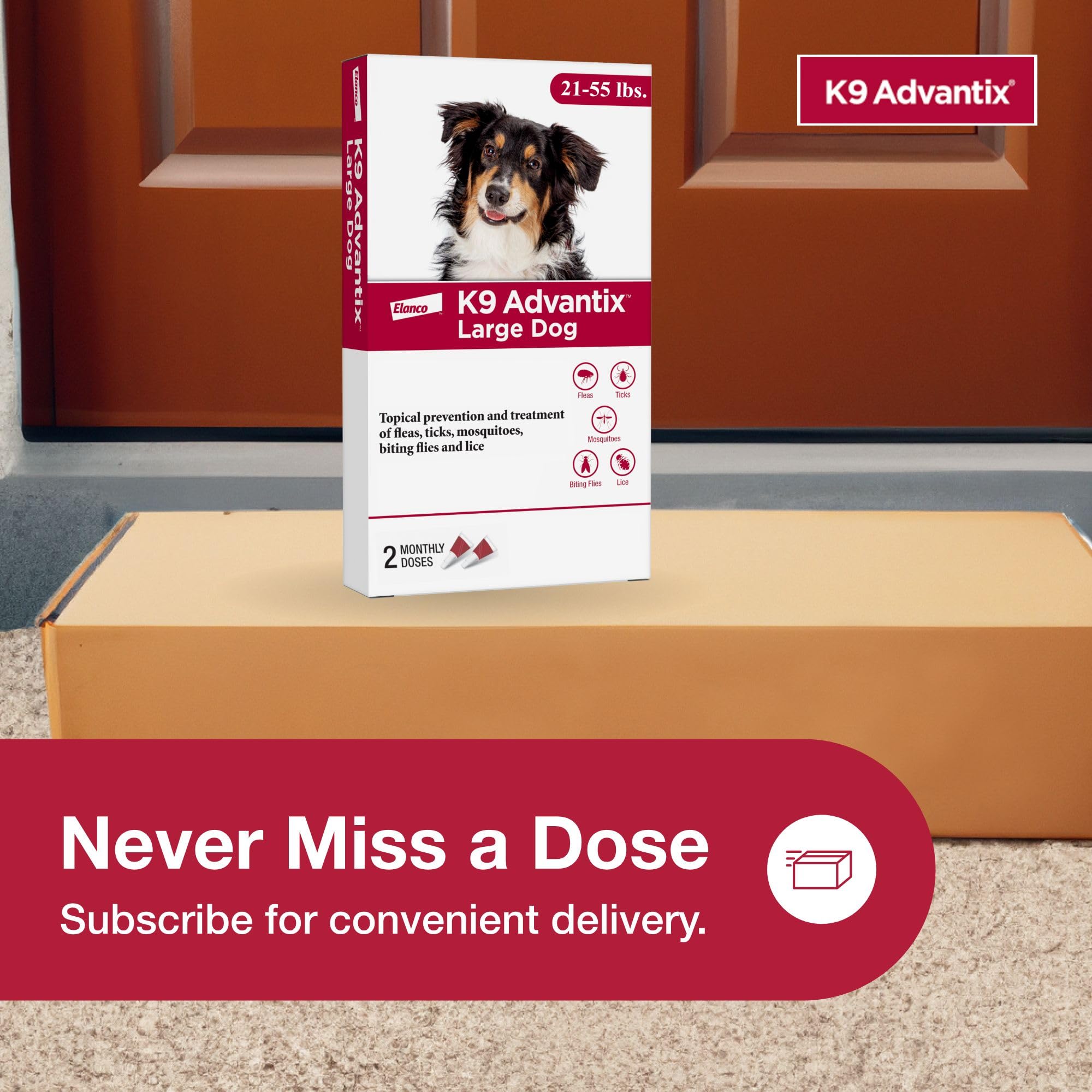 K9 Advantix pipette d'application sécurisée sur le dos du chien