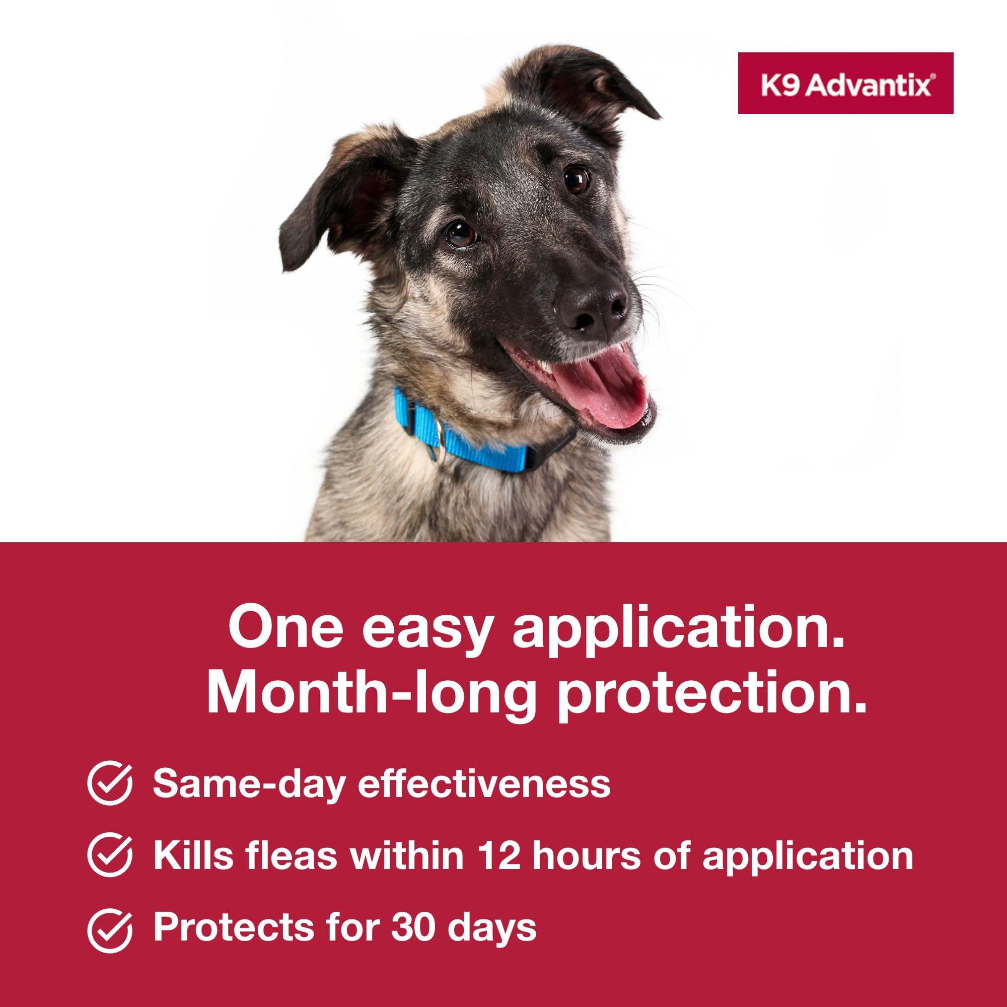 K9 Advantix sans ordonnance, solution pratique pour propriétaires