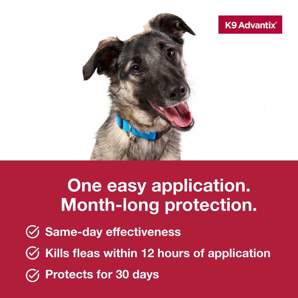 K9 Advantix sans ordonnance, solution pratique pour propriétaires