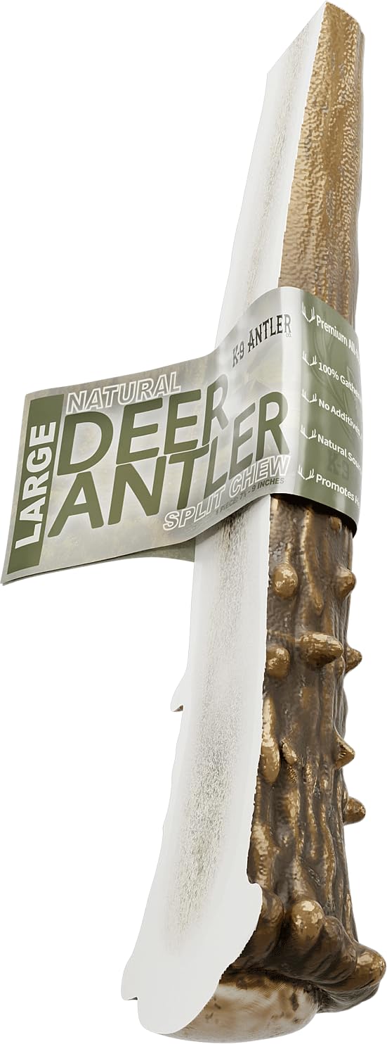 K-9 Antler Co moelle-exposee-ramure: stimulation orale naturelle et longue durée.
