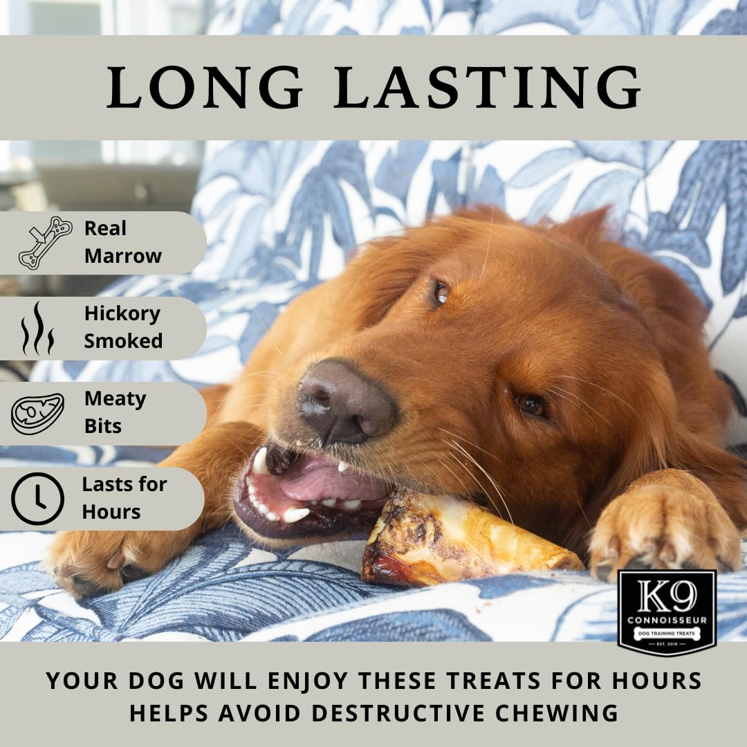 K9 Connoisseur chien-mord os-boeuf: démonstration de mastication longue et focalisée.