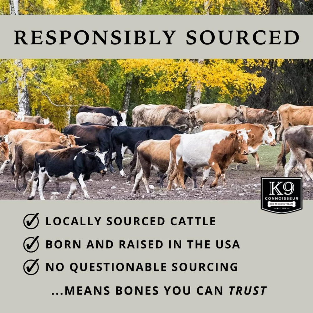 K9 Connoisseur fabriqué aux États-Unis: origine locale et traçabilité rassurantes.