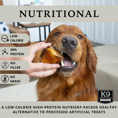 K9 Connoisseur os boeuf durable, idéal pour canaliser la mastication