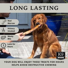 K9 Connoisseur os de bœuf pour petits chiens en main.