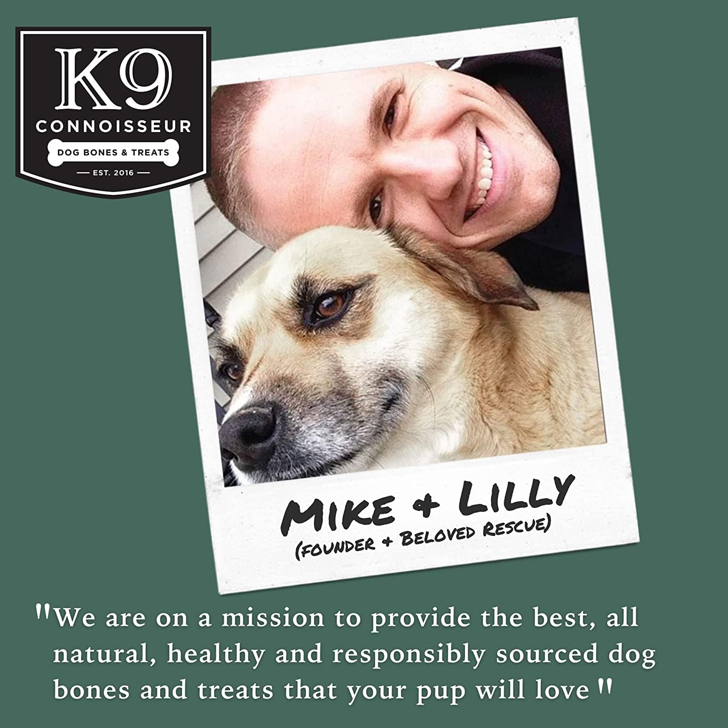 K9 Connoisseur pour petits et moyens chiens jusqu’à 50 livres, usage quotidien sûr.