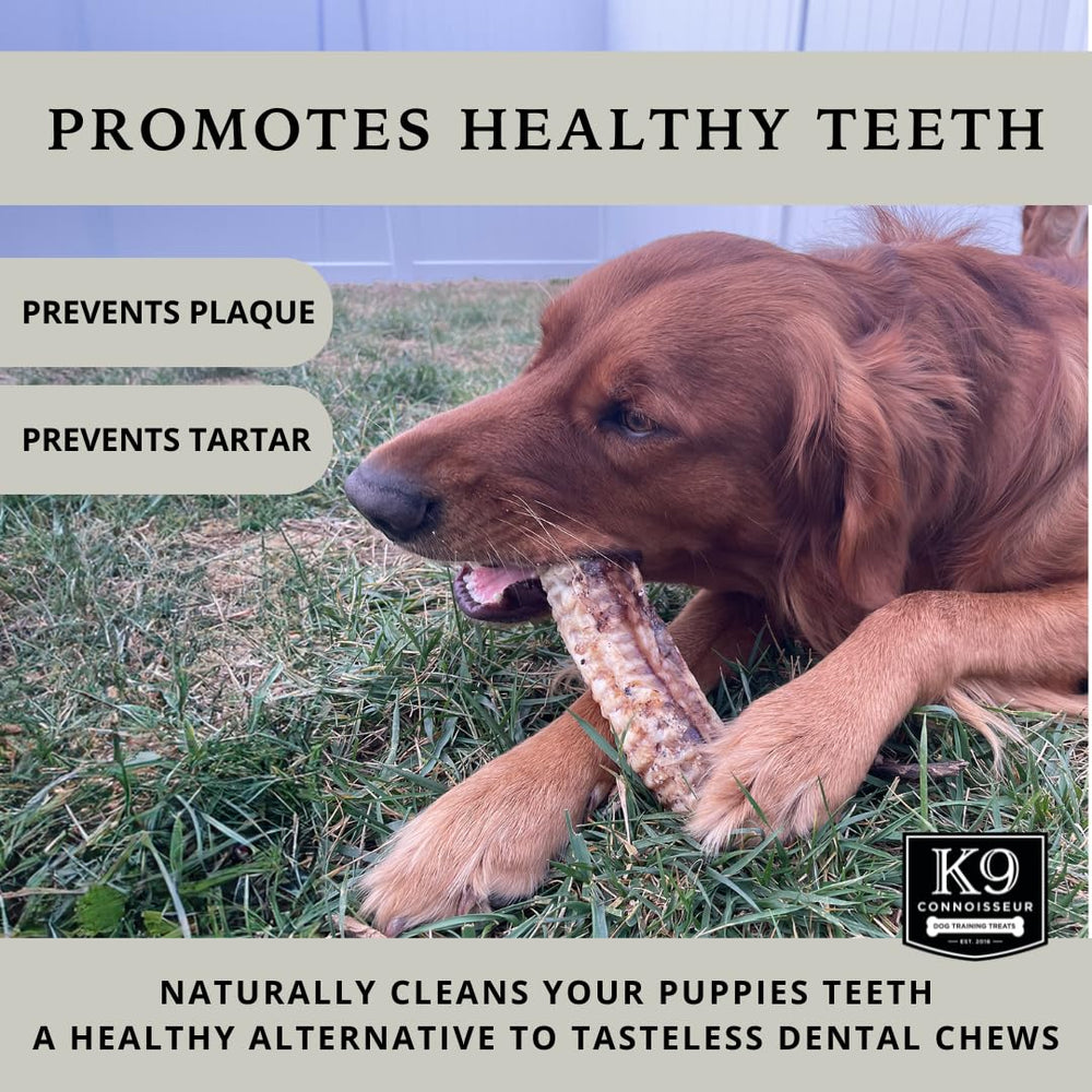 K9 Connoisseur Trachee fabrique aux Etats-Unis: origine americaine et production locale.