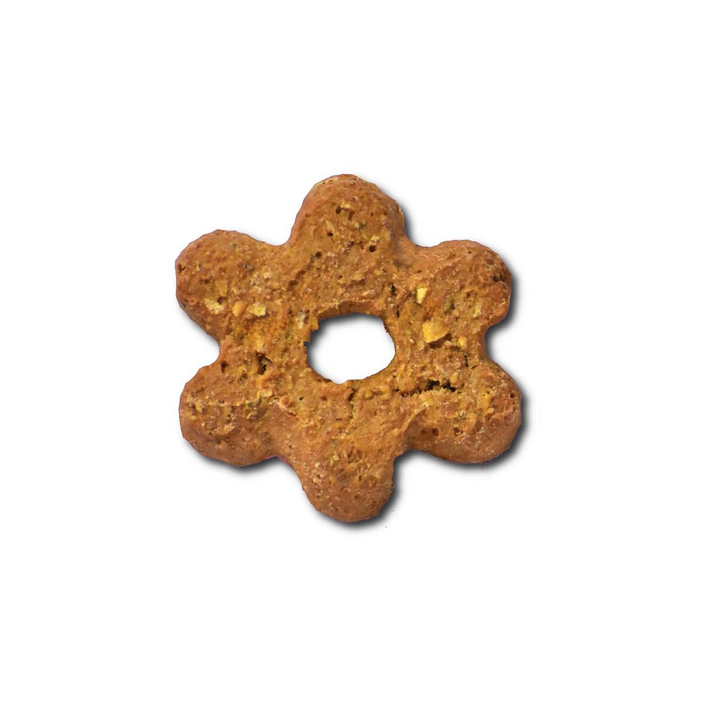 K9 Granola Factory Blueberry Pumpkin Crunchers chien heureux dégustant la friandise