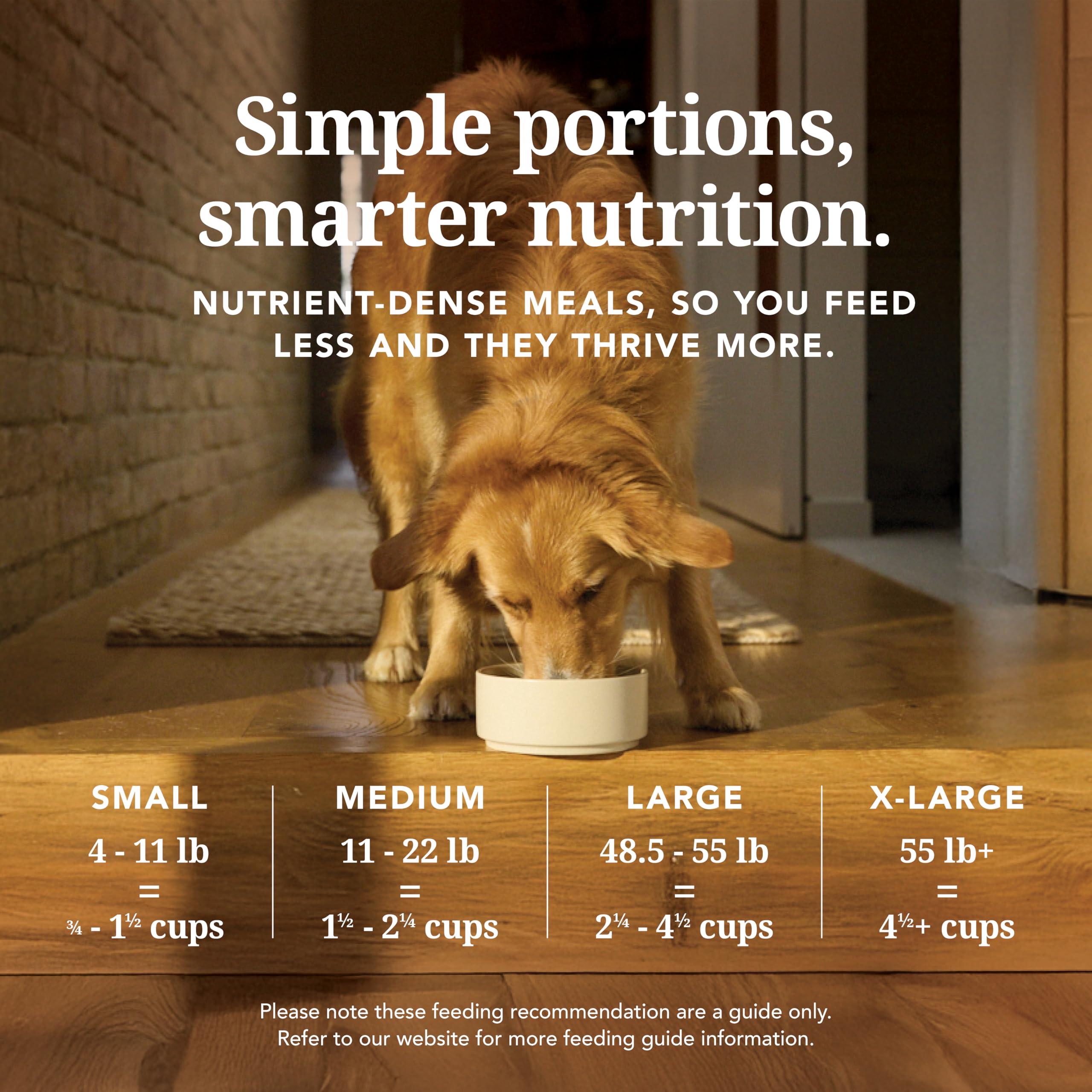 K9 Natural Lyophilisé: préparation rapide avec eau pour repas maison.