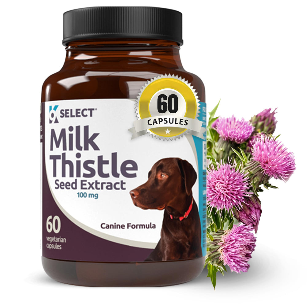 K9 Select chardon-marie bouteille: soutien hépatique naturel pour chiens.