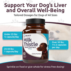 K9 Select chardon-marie capsules 100 mg: dosage pratique pour le foie canin.