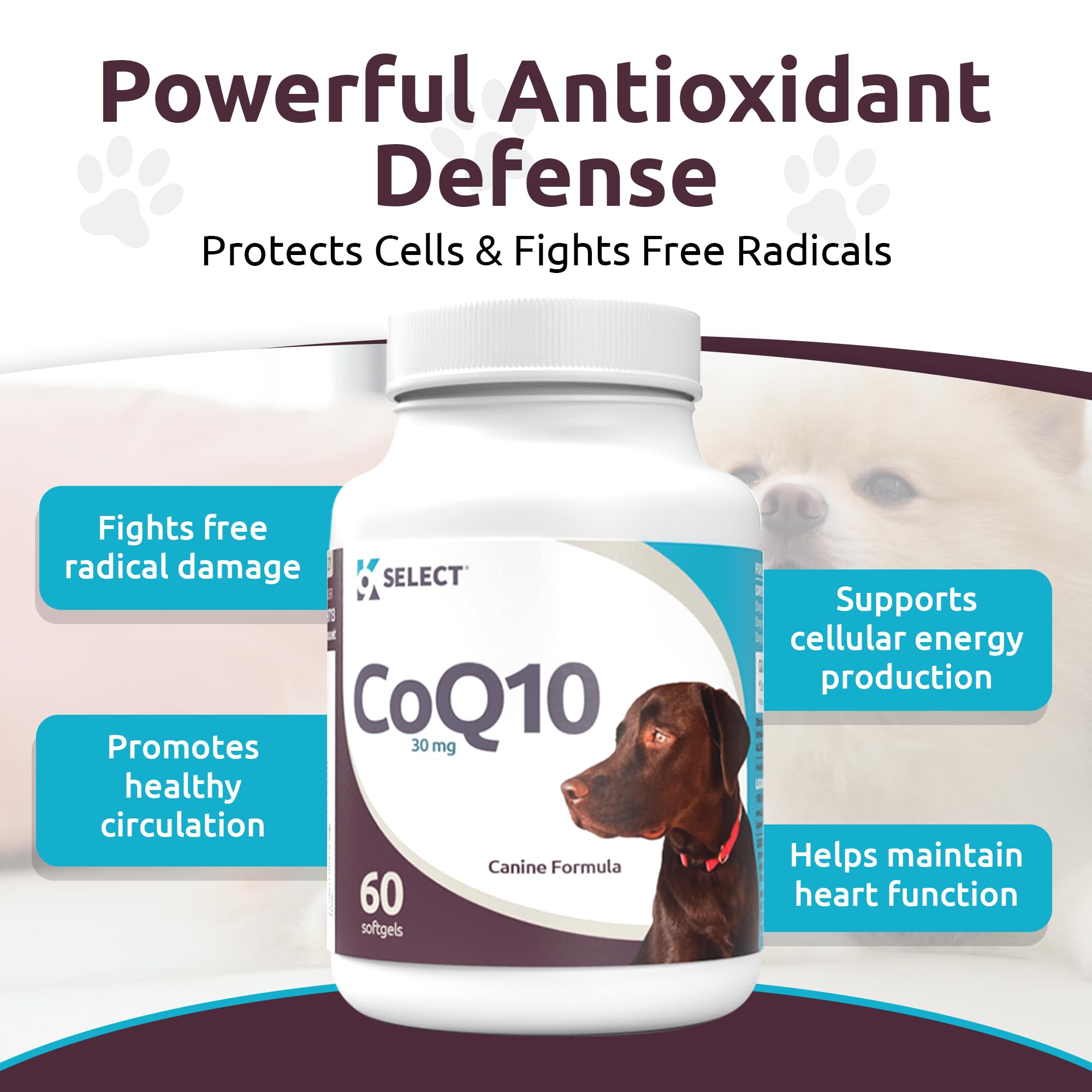 K9 Select CoQ10, antioxydants pour chien, soutien d'un système robuste.