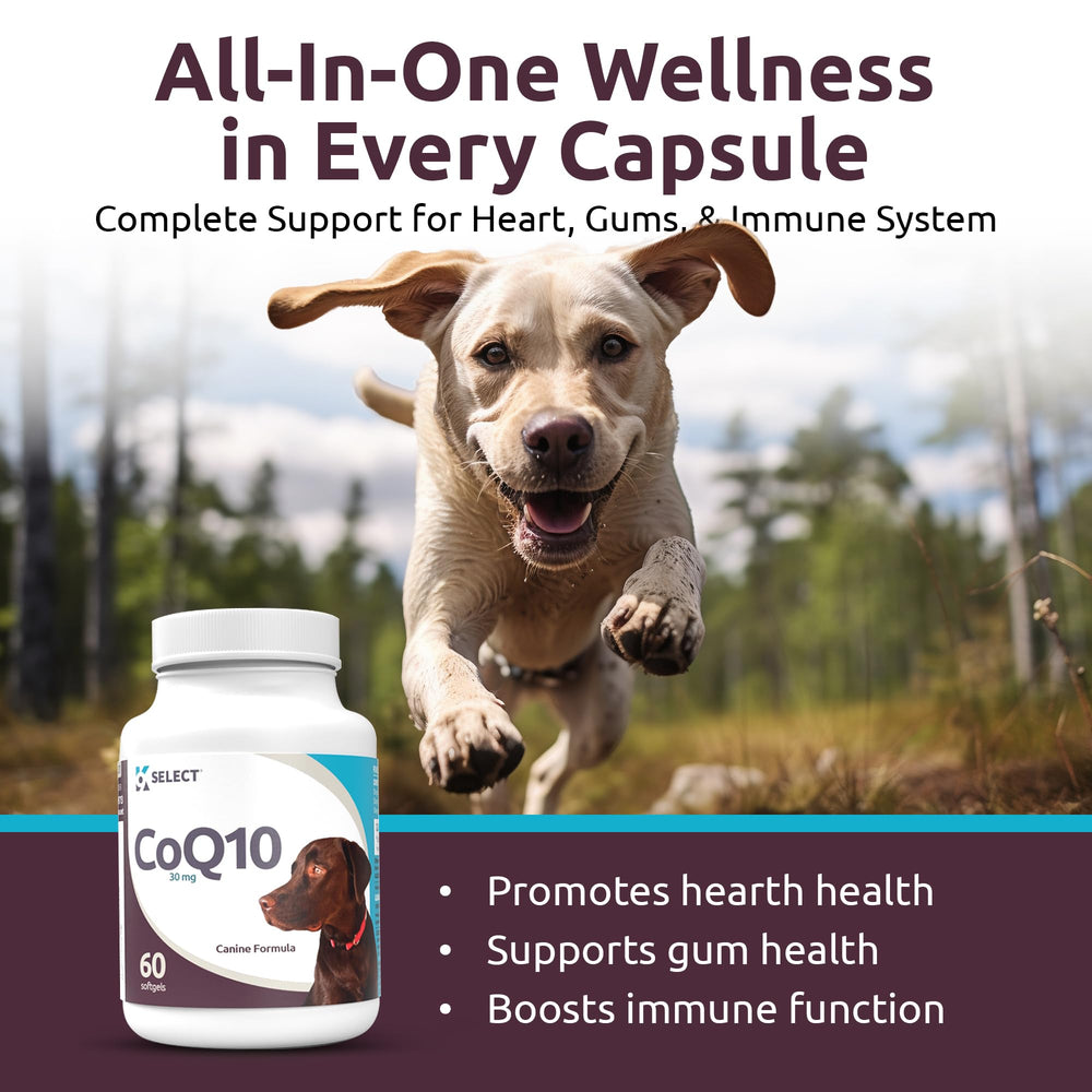 K9 Select CoQ10, gélules pour cœur canin et circulation saine.