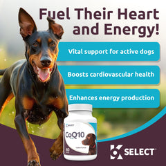 K9 Select CoQ10, gélules pour chien, favorise santé cardiaque et vitalité.