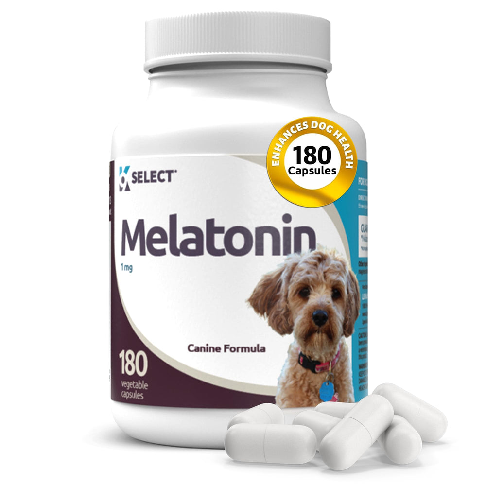 Boîte K9 Select Mélatonine chiens, capsules 1 mg, calme et sommeil.