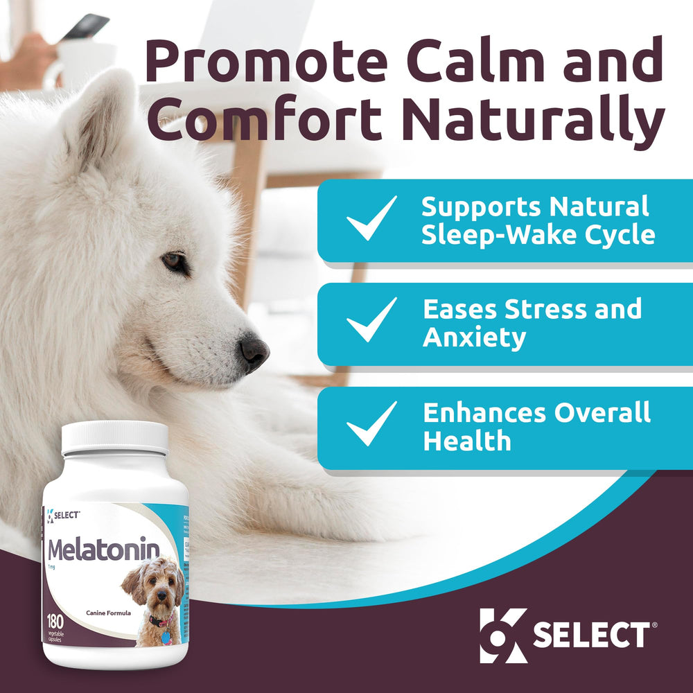 K9 Select Mélatonine: capsules faciles à administrer pour chiens.