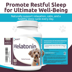 Poil et peau éclatants grâce à K9 Select Mélatonine.