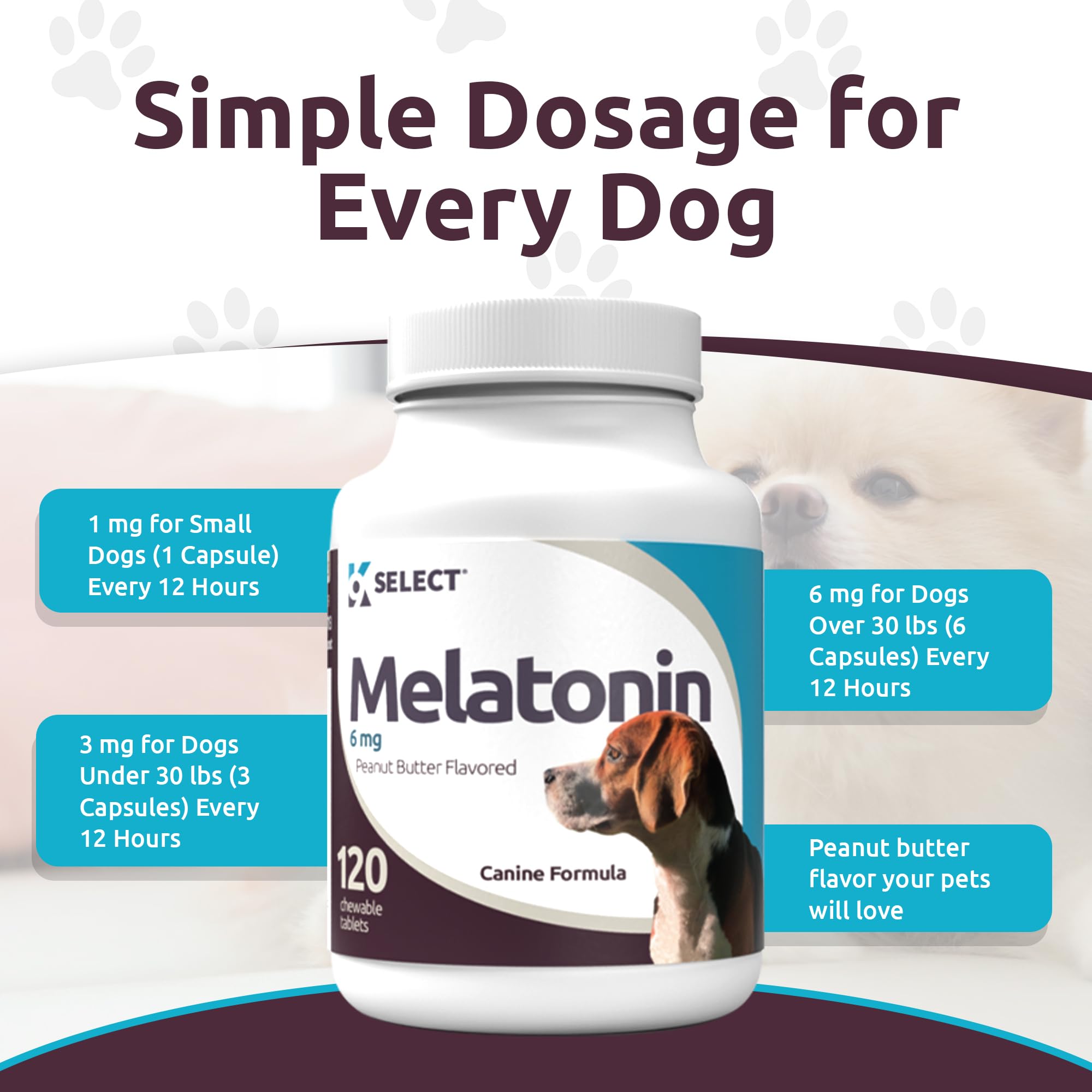 Chien calme sur canapé grâce a K9 Select Melatonine grand chien
