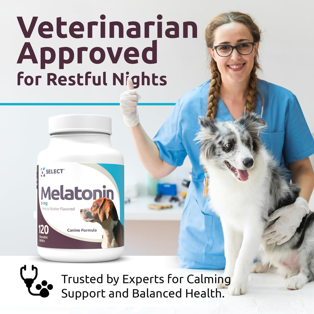 Rituel nocturne apaisant avec K9 Select Melatonine pour grand chien
