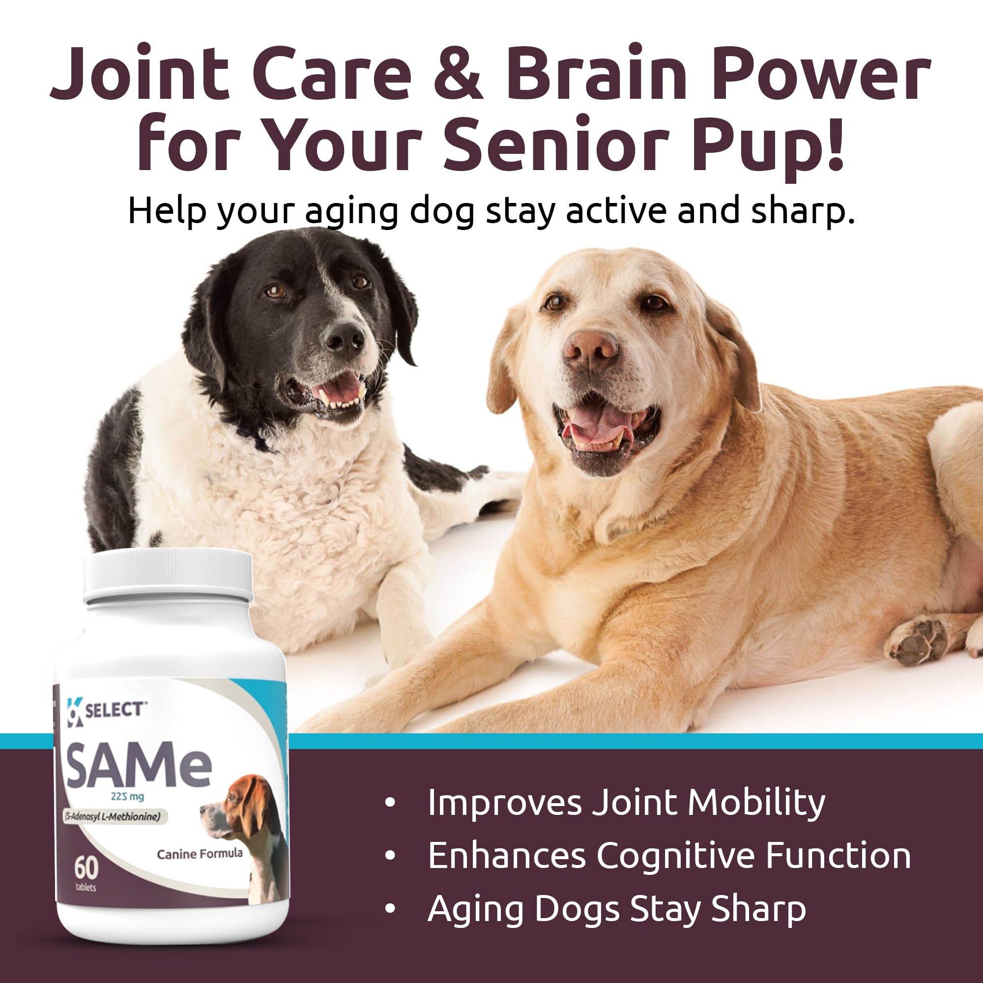 K9 Select SAM-e enrobage enterique, absorption efficace des actifs