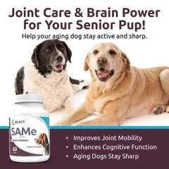 K9 Select SAM-e enrobage enterique, absorption efficace des actifs