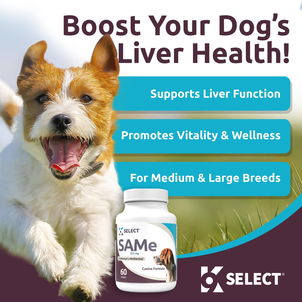K9 Select SAM-e flacon de 60 comprimés, solution pratique pour chiens moyens et grands