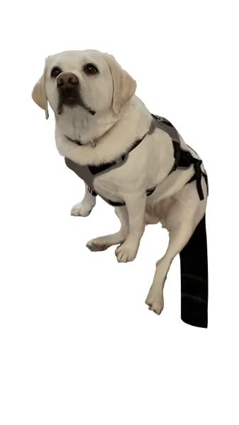Confort durable sur la queue avec K9 Tailsaver.
