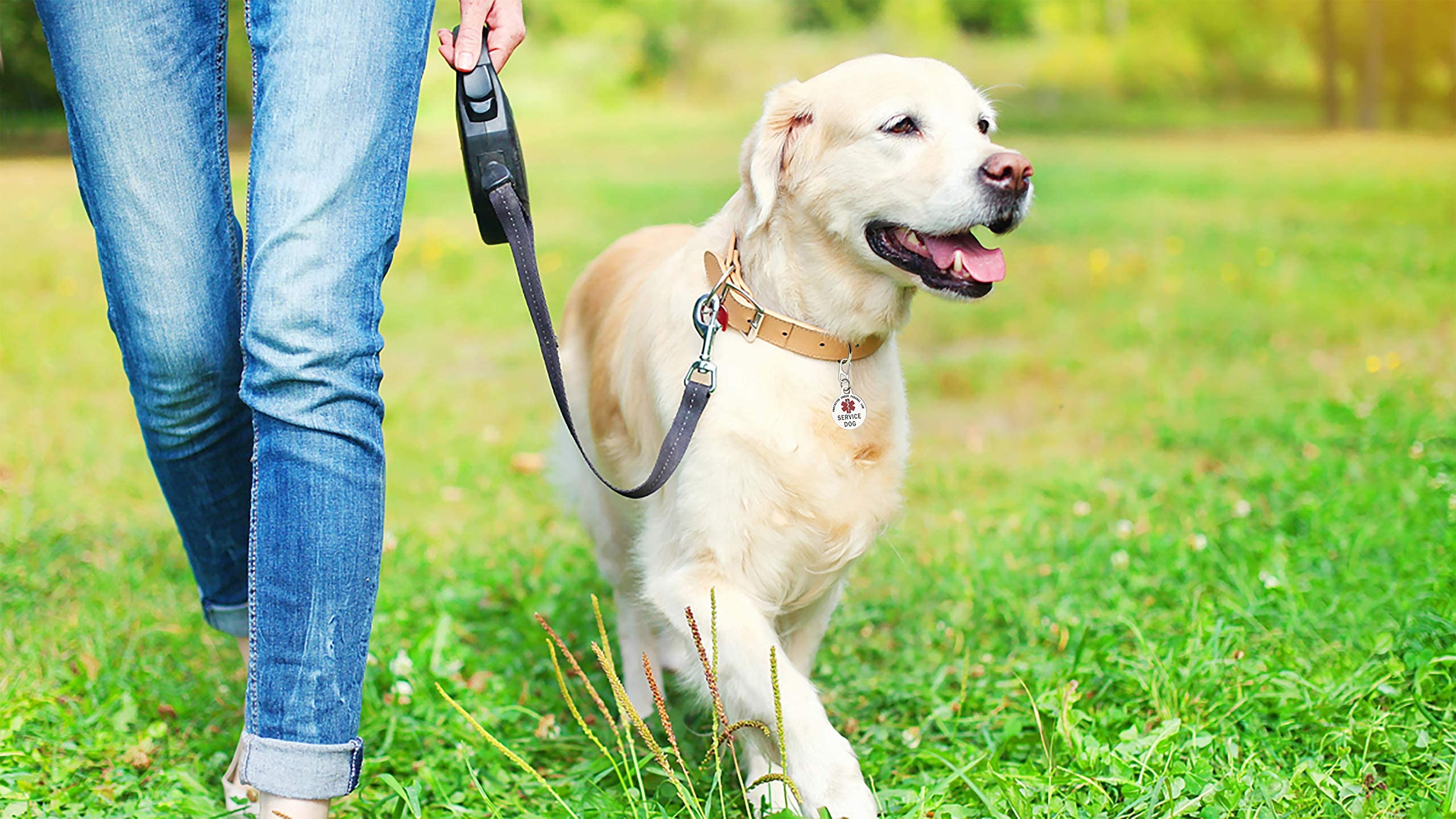 K9King Tag design-elegant, apporte un look soigné au chien.