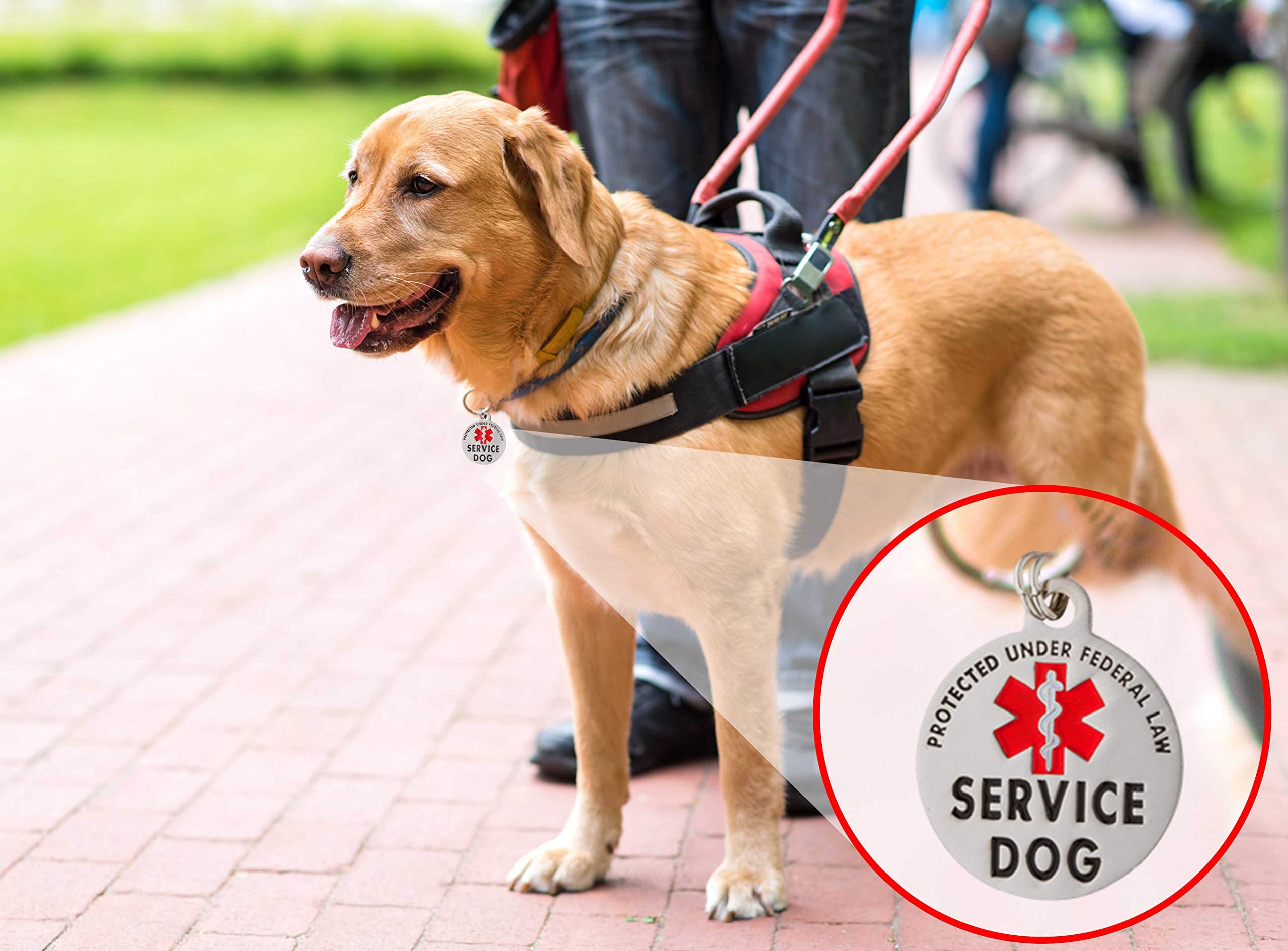K9King Tag emballage-marque-k9king, garantie d'un produit de qualite.