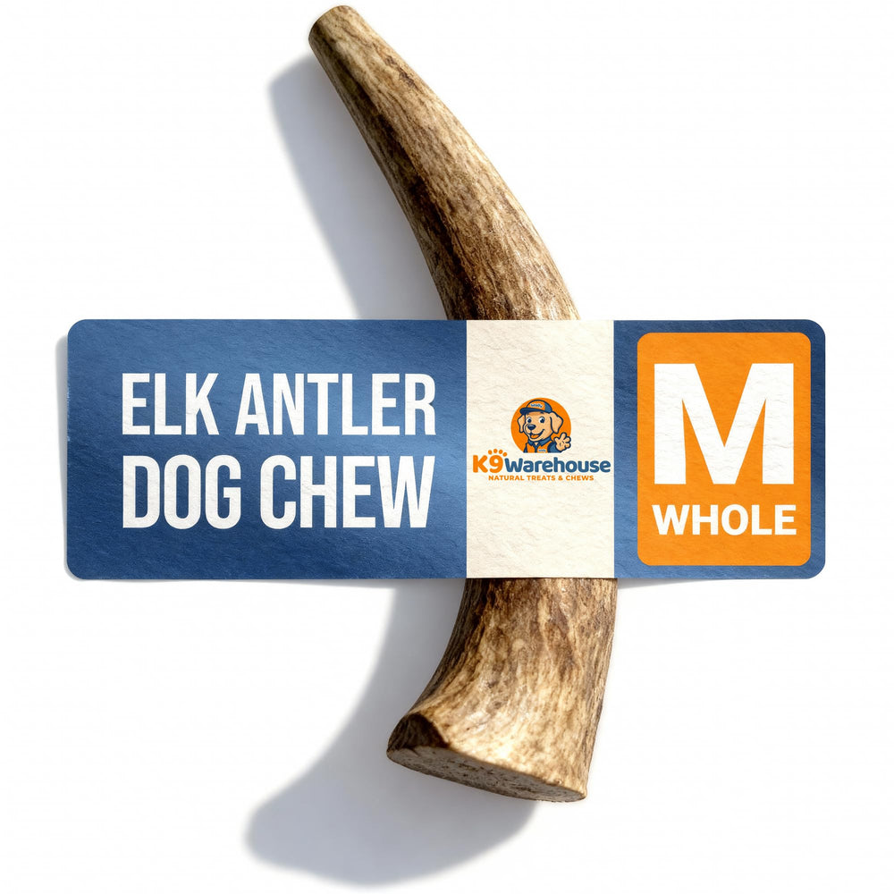 K9warehouse bois de cerf naturel, mordeur durable pour chien puissant.