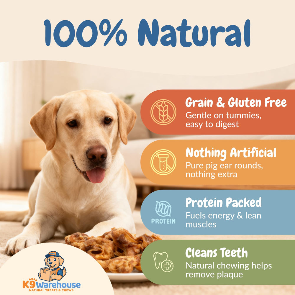 K9warehouse oreilles de porc rondes – protéines et minéraux naturels pour le bien-être