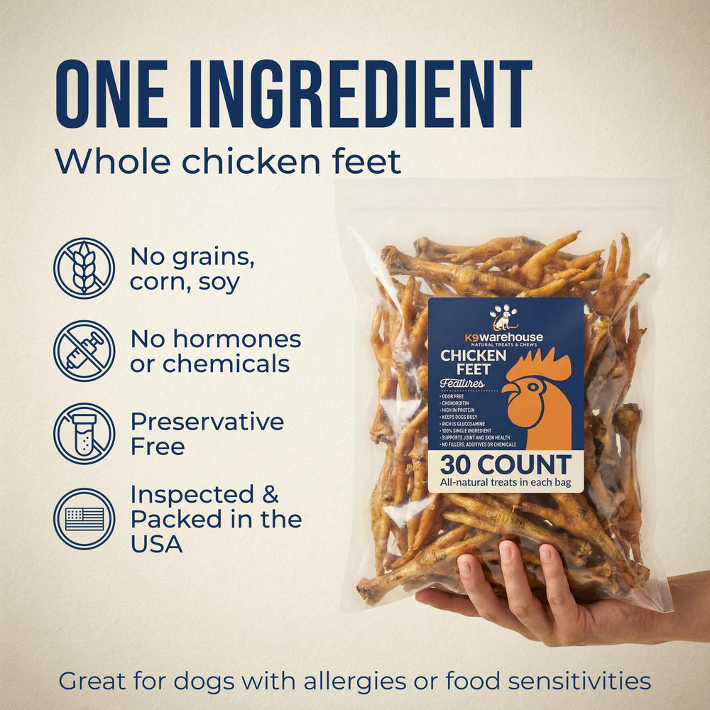 Pour chiens actifs, pattes de poulet K9warehouse soutiennent les moments de jeu.
