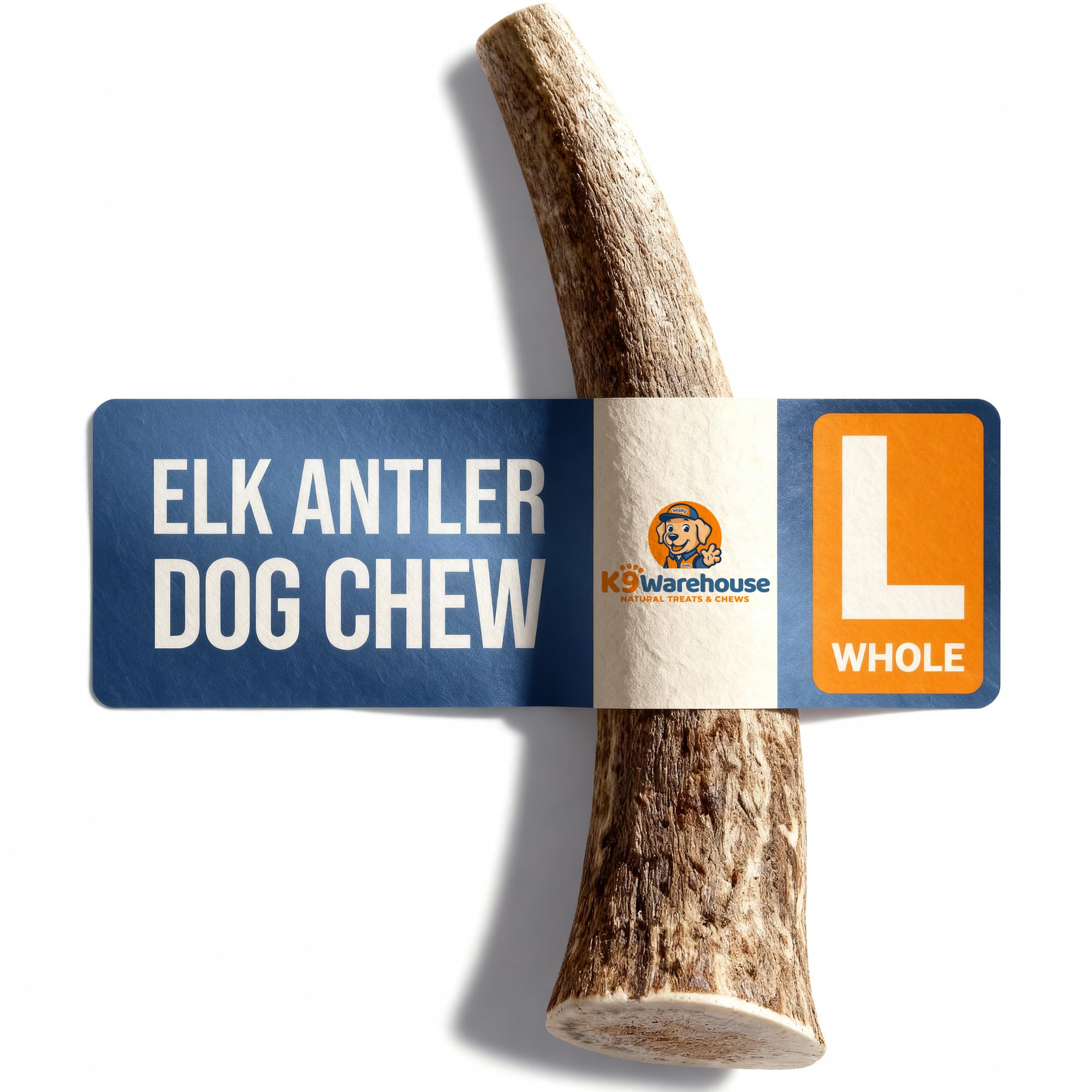 K9warehouse ramure cerf pour chien en train de mâcher durablement.