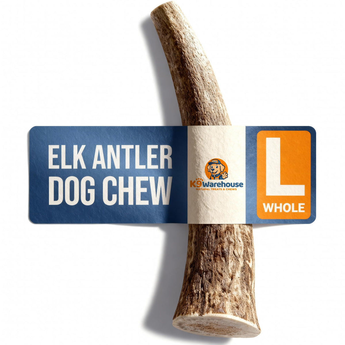 K9warehouse ramure cerf pour chien en train de mâcher durablement.